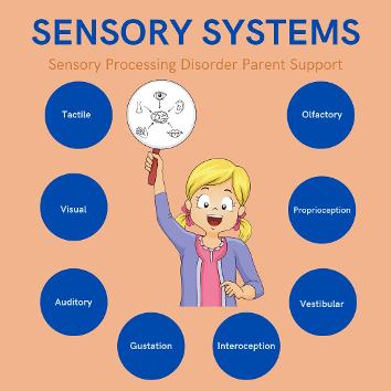 sensory processing disorder sensory systems little girl holding sign of eight senses