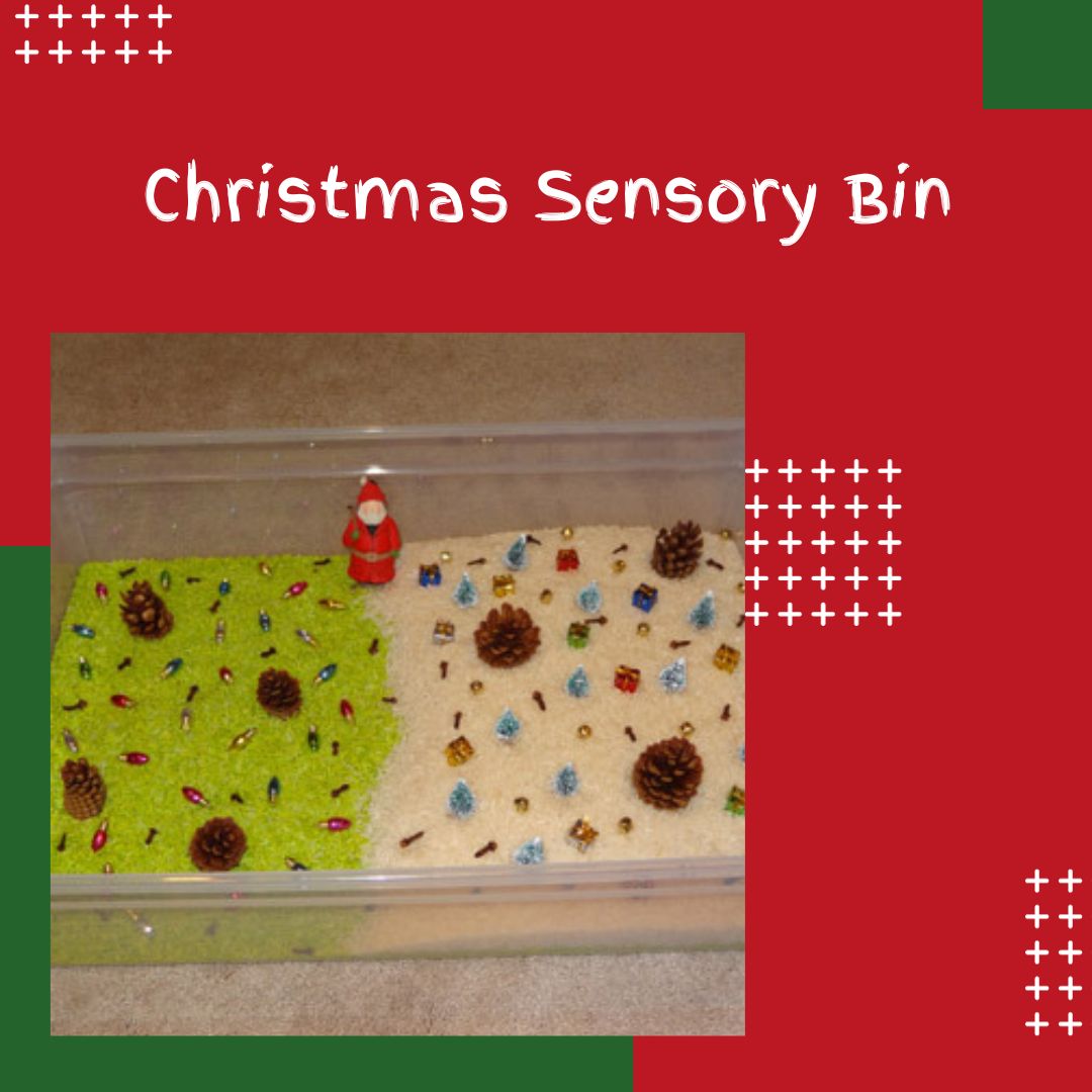 Christmas Sensory Bin Sensory Processing Disorder Sensory Differences Autism sensory diet sensory activities sensory Christmas activities  sensory play