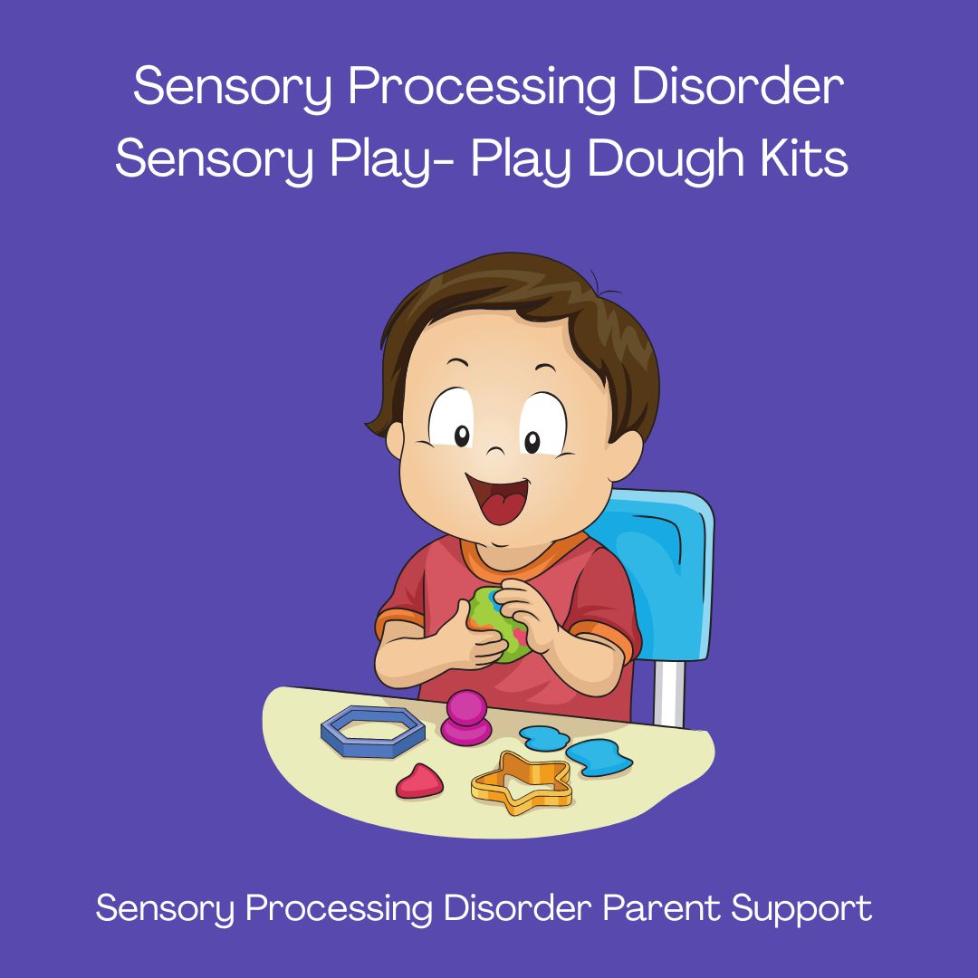 Sensory Processing Disorder Sensory Play- Play Dough Kits  Sensory Play Activities