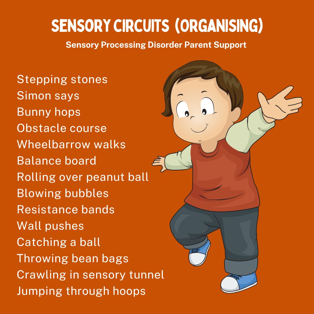 Sensory circuits  (Organising) Sensory processing disorder sensory differences alerting activities