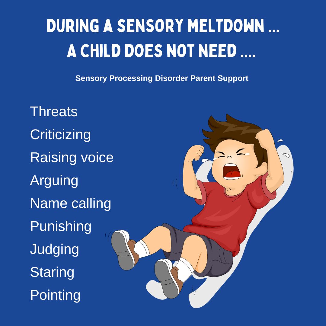 During a sensory meltdown ... A child does not need ....