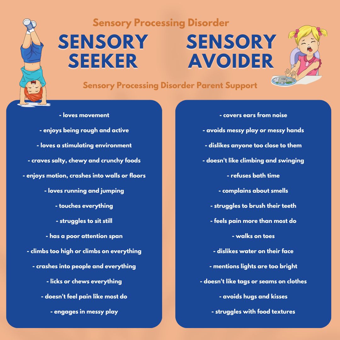 little boy sensory processing disorder sensory seeker little girl SPD sensory avoider diagram