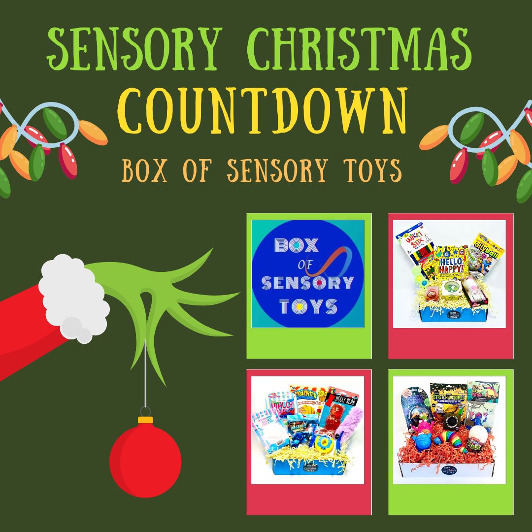 Sensory Christmas COUNTDOWN Box Of Sensory Toys Sensory Processing Disorder Parent Support Holidays Gift Ideas Christmas