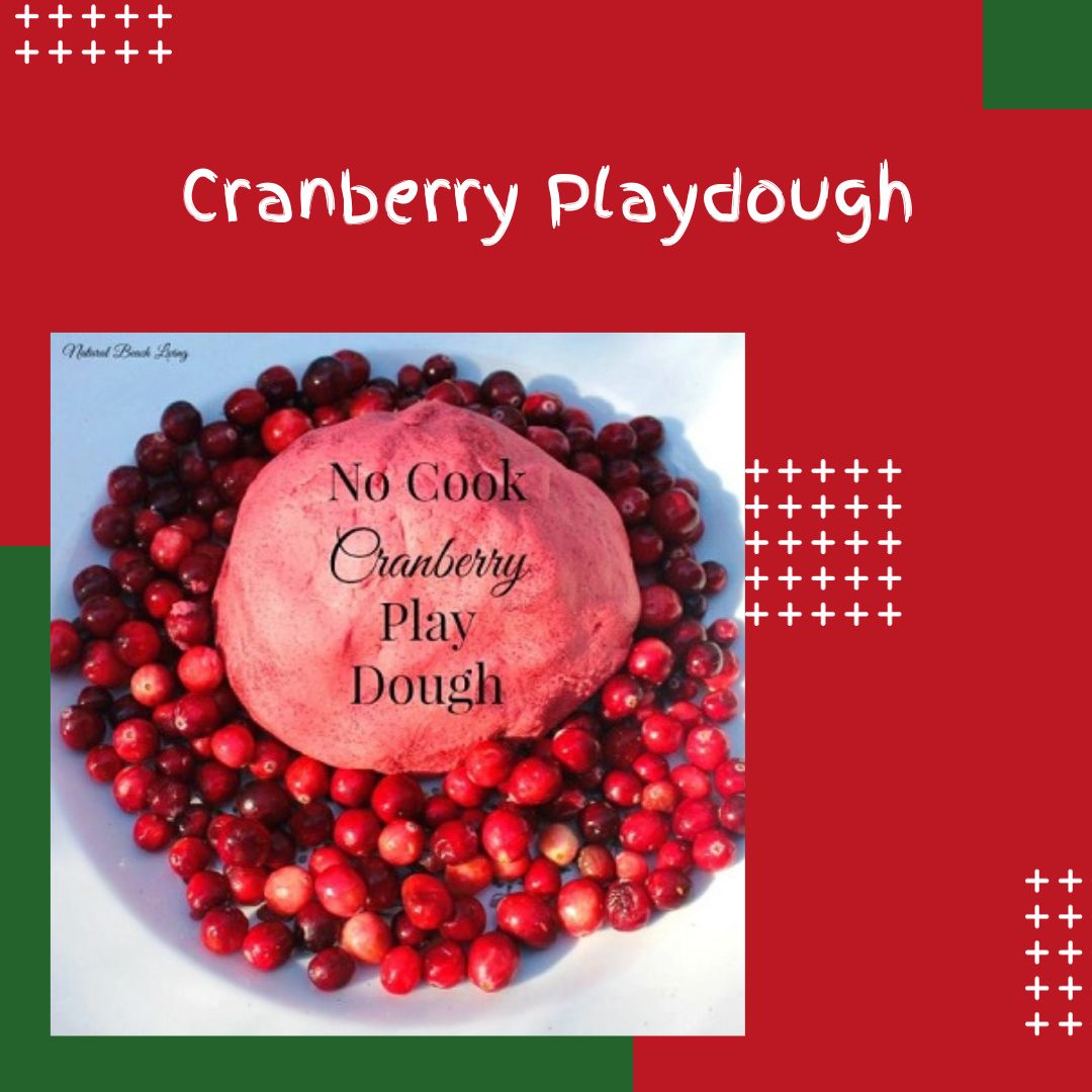 Cranberry Playdough Sensory Processing Disorder Sensory Differences Autism sensory diet sensory activities sensory Christmas activities  sensory play