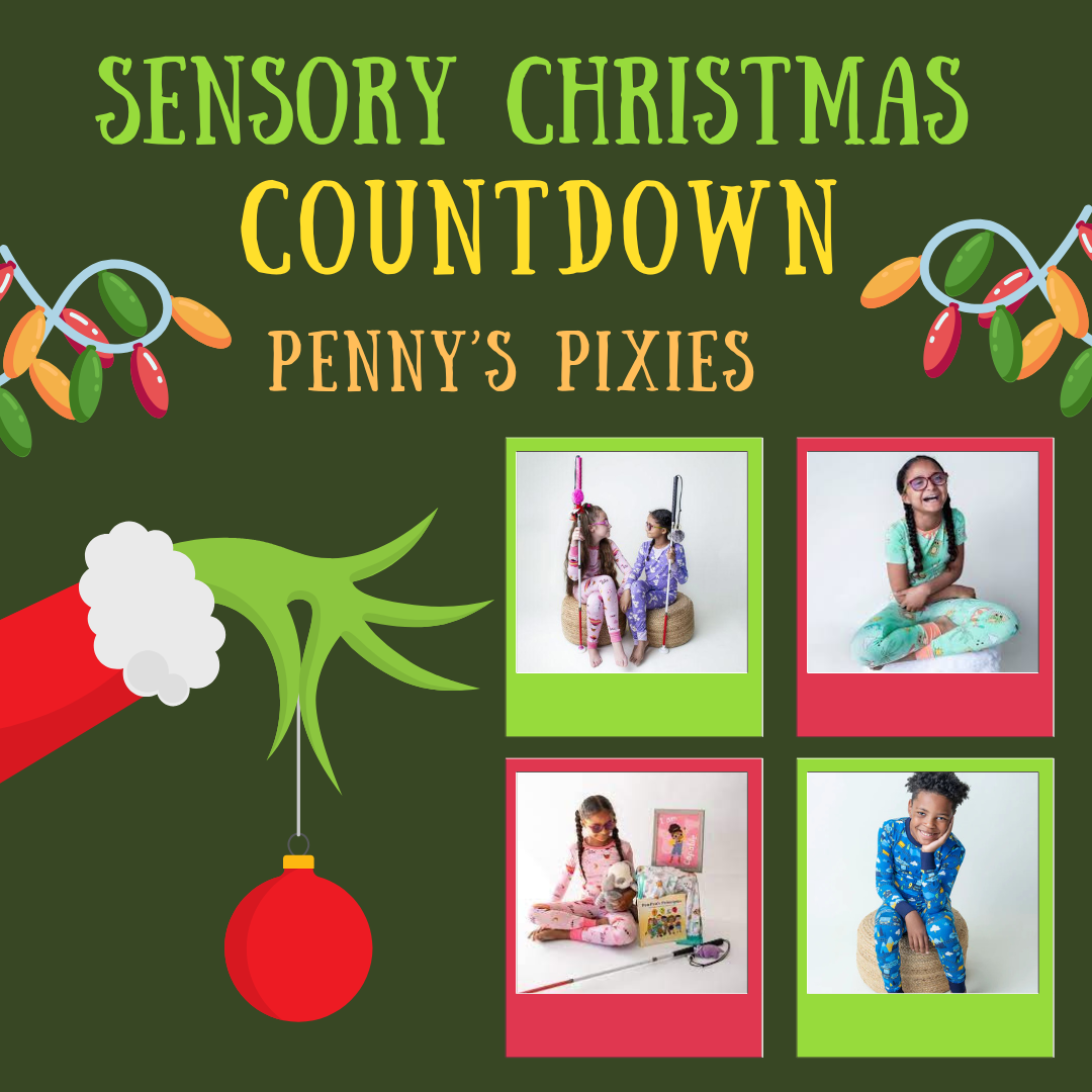 Penny's Pixies Sensory Christmas COUNTDOWN My Silly Sensory Journal Sensory Processing Disorder Parent Support Holidays Gift Ideas Christmas