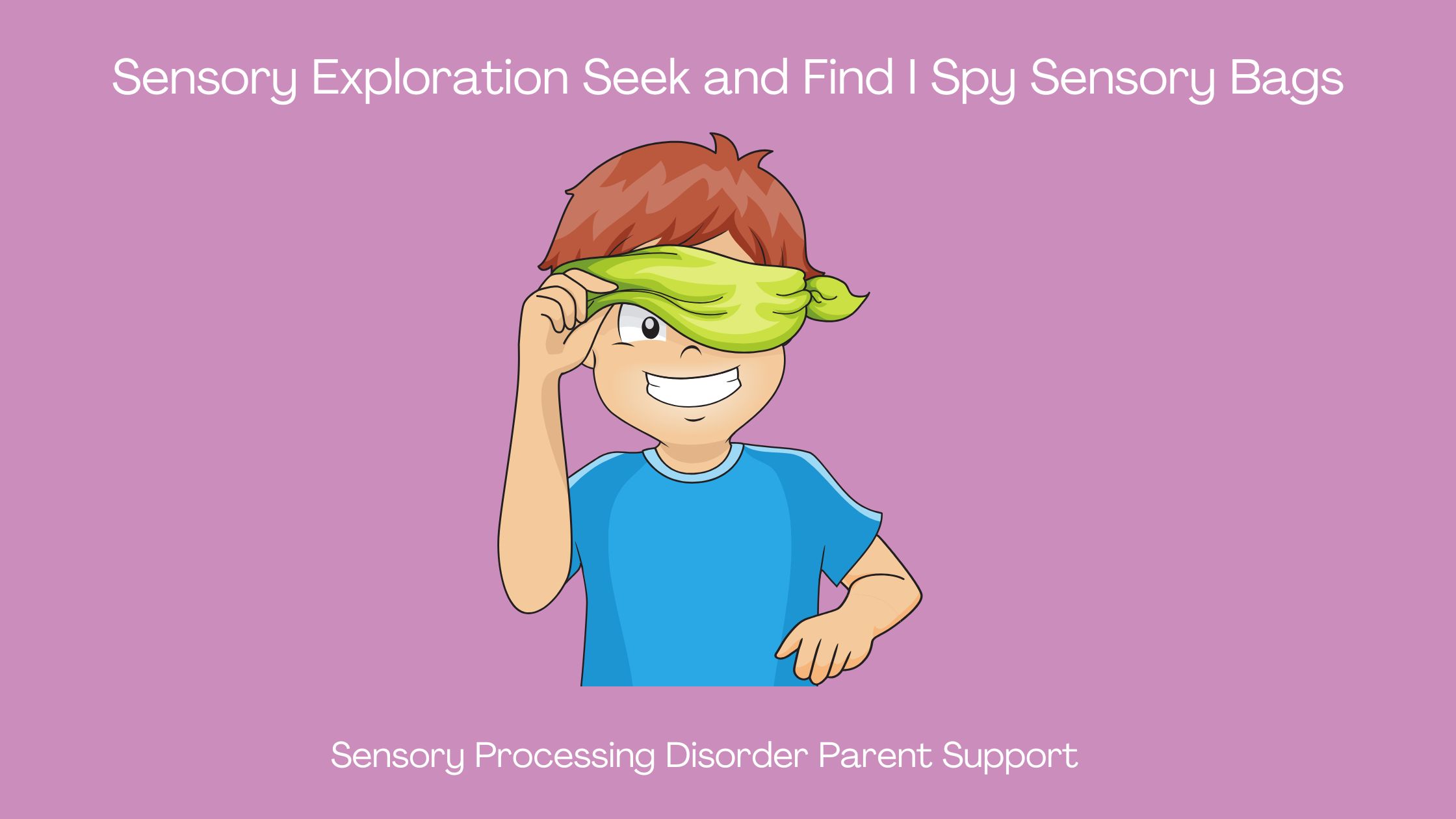 Sensory Processing Disorder Sensory Exploration Seek and Find I Spy Sensory Bags Sensory Play Sensory Activity Sensory bag activities