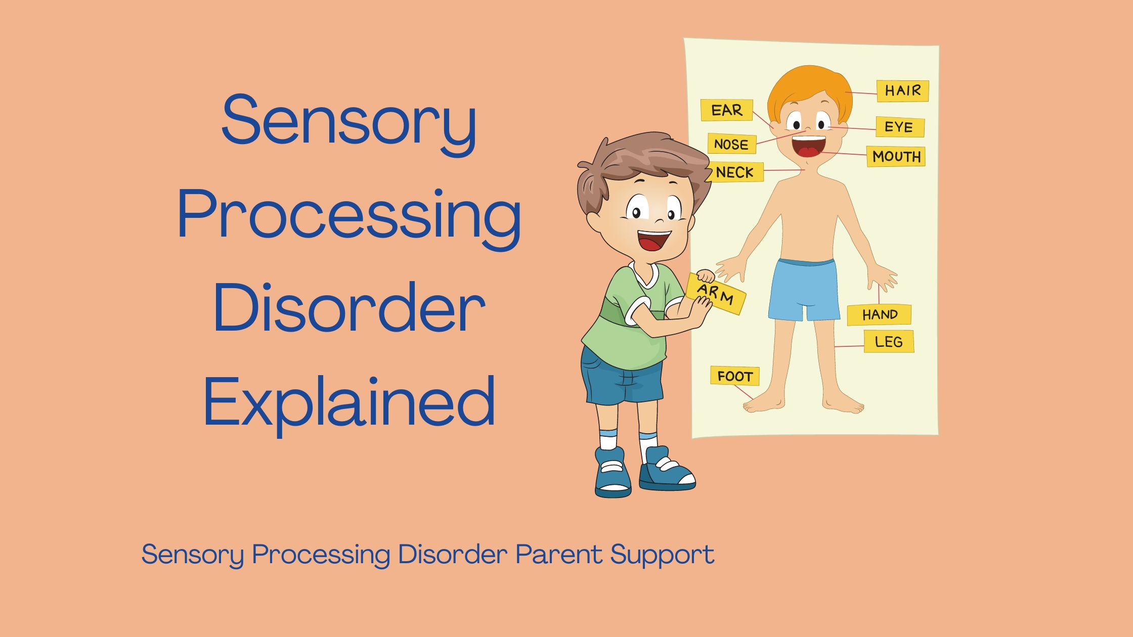 boy with sensory processing disorder explaining sensory processing disorder with a poster of a child who has SPD Sensory Processing Disorder Explained