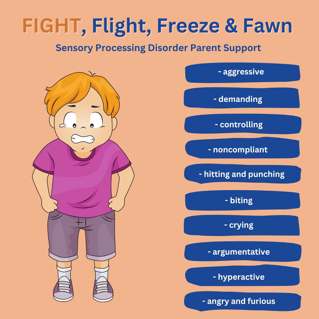 boy with sensory processing disorder in fight mode FIGHT response Fight Flight Freeze Fawn