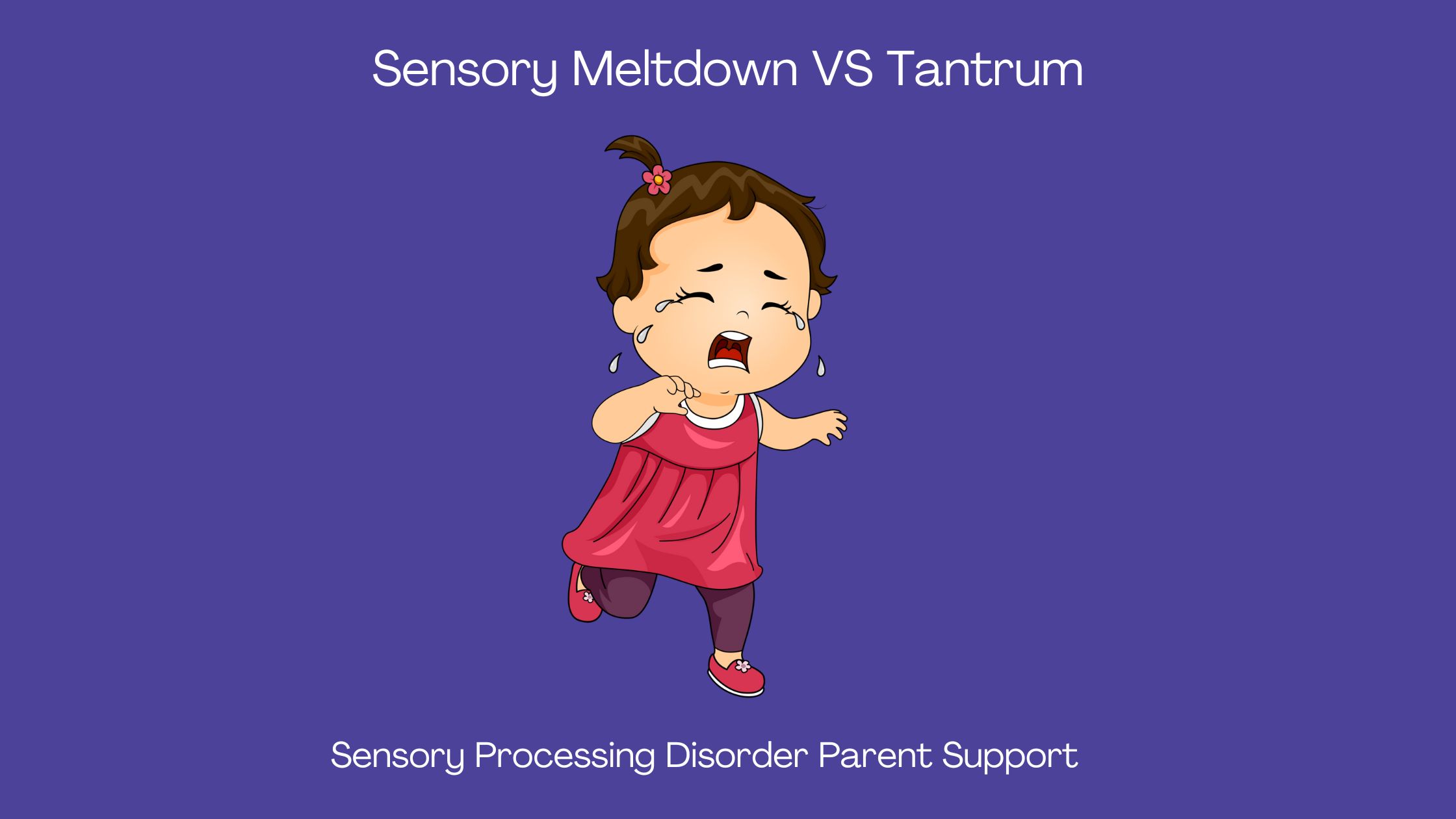 Sensory Processing Disorder Sensory Meltdown VS Tantrum  Sensory Processing