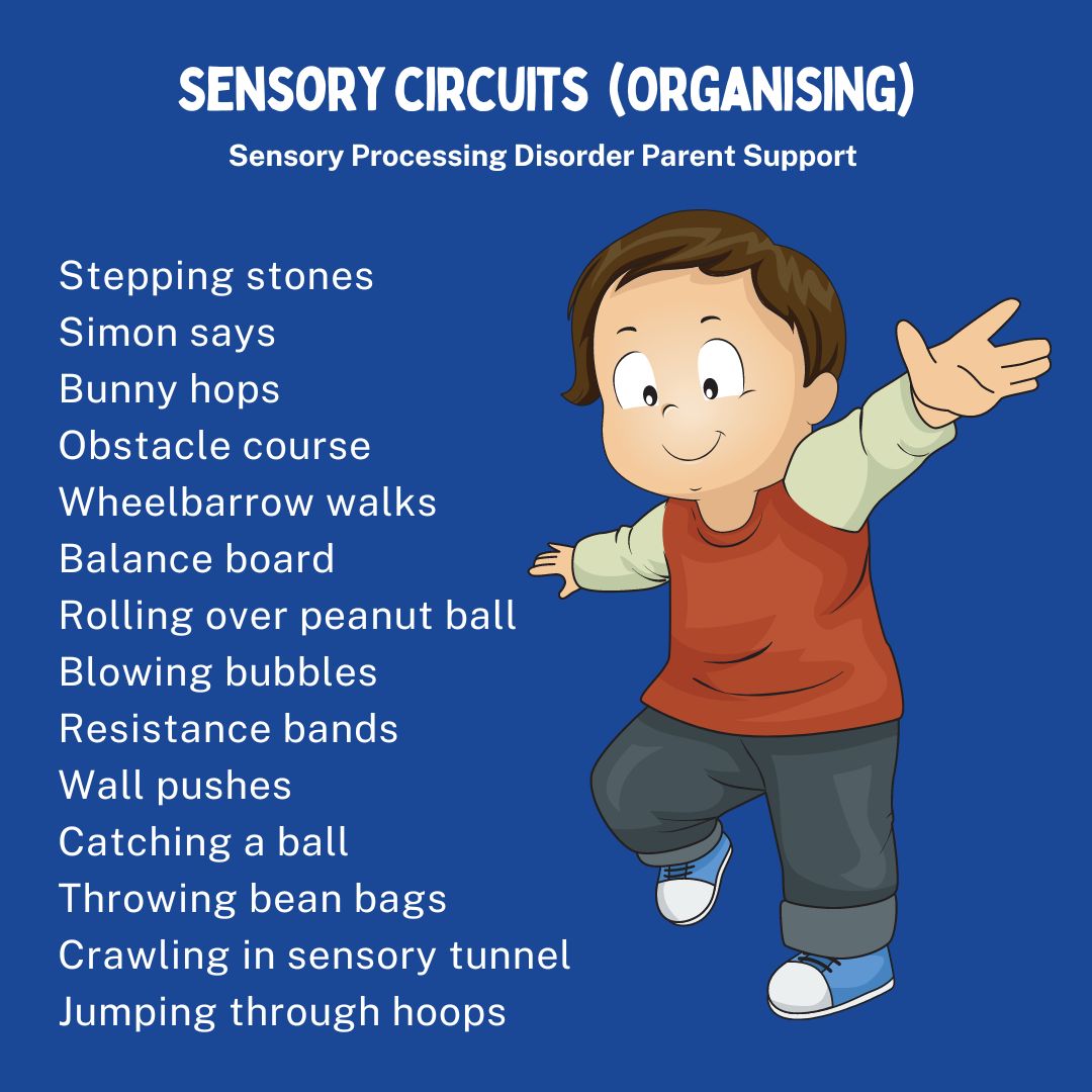 Sensory circuits  (Organising) Sensory processing disorder sensory differences alerting activities