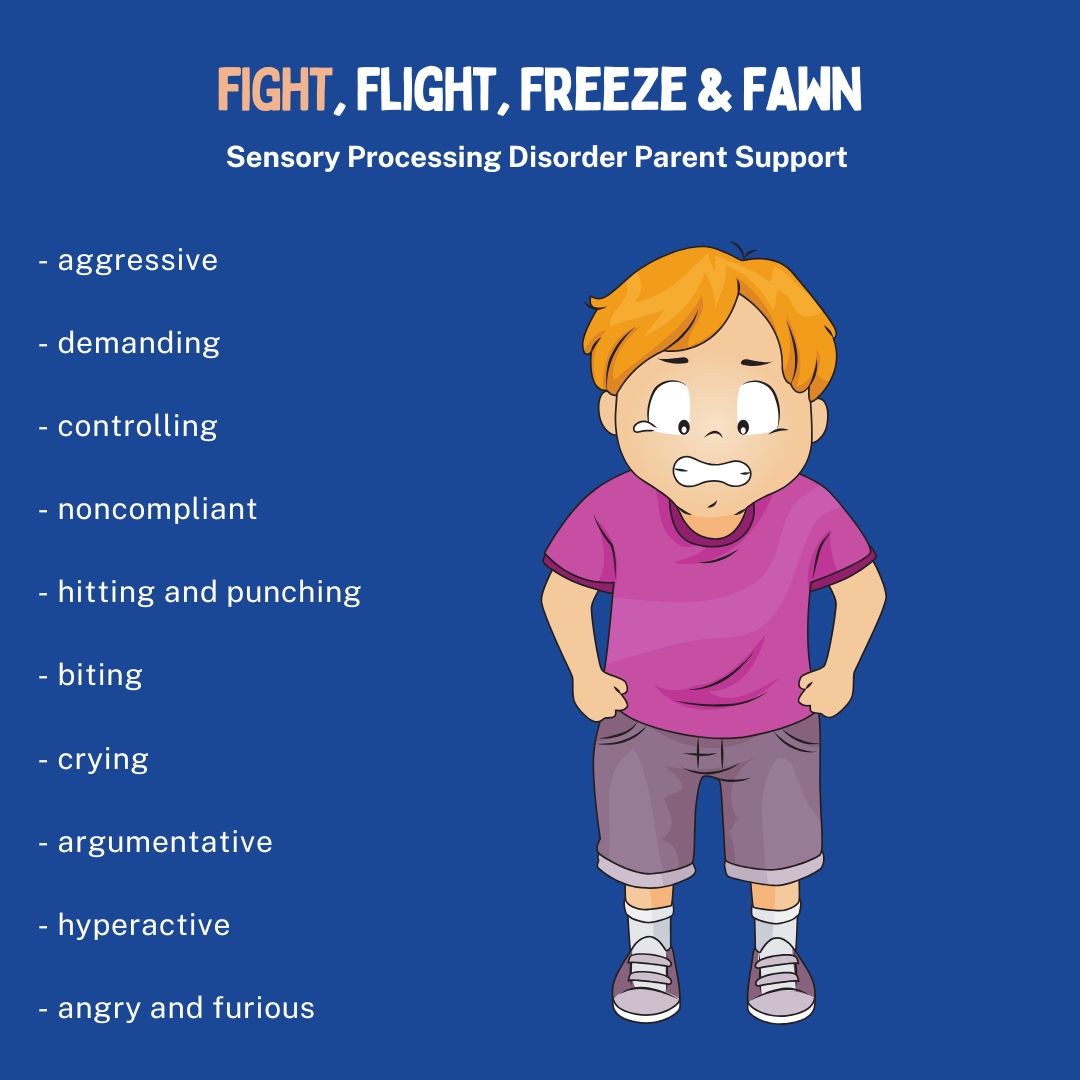 boy with sensory processing disorder in fight mode FIGHT response Fight Flight Freeze Fawn