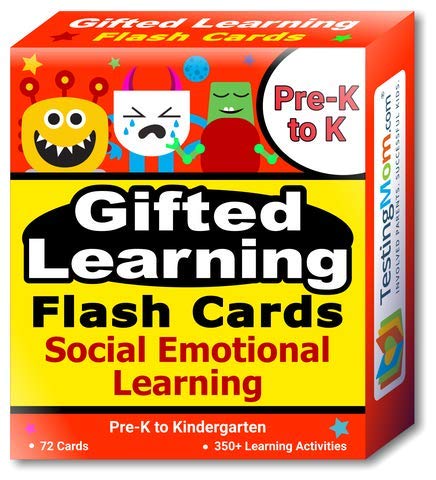 Gifted Learning Testing Flash Cards - Social Emotional