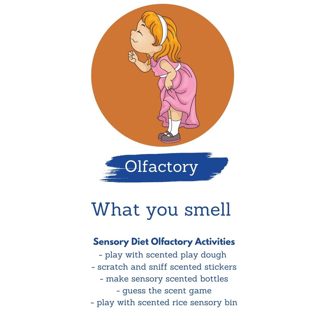 smell olfactory Sensory Processing Disorder Five Senses Sensory Systems sensory processing