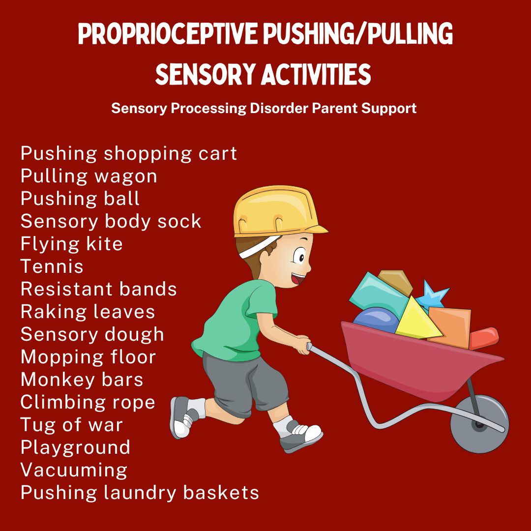 Proprioceptive Pushing/Pulling Sensory Activities  Pushing shopping cart  Pulling wagon Pushing ball Sensory body Sock Flying kite  Tennis Resistant bands Raking leaves Sensory dough Mopping floor Monkey bars Climbing rope  Tug of war Playground Vacuuming Pushing laundry baskets