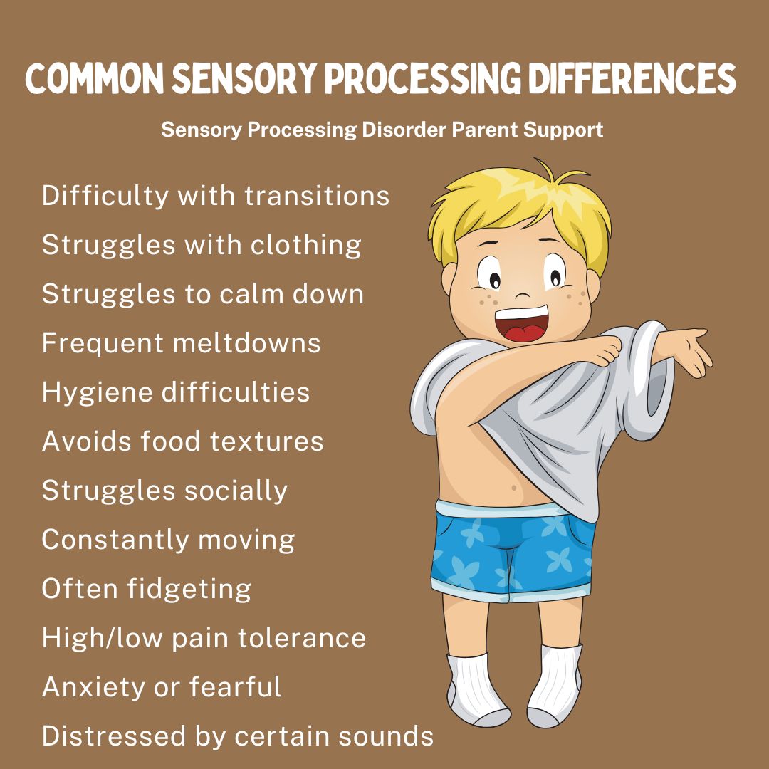 Common Sensory Processing Differences  Difficulty with transitions Struggles with clothing  Struggles to calm down Frequent meltdowns Hygiene difficulties  Avoids food textures Struggles socially Constantly moving Often fidgeting High/low pain tolerance Anxiety or fearful Distressed by certain sounds