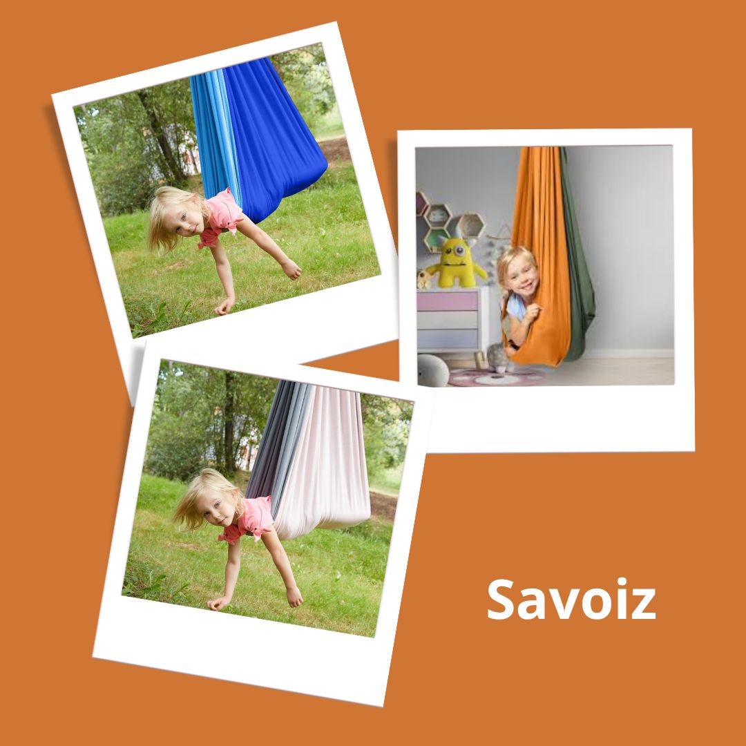 savoiz sensory swings Sensory Processing Disorder Sensory Diet Toys Equipment Tools