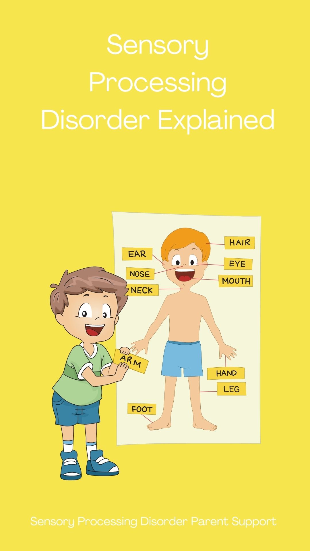 Sensory Processing Disorder Explained