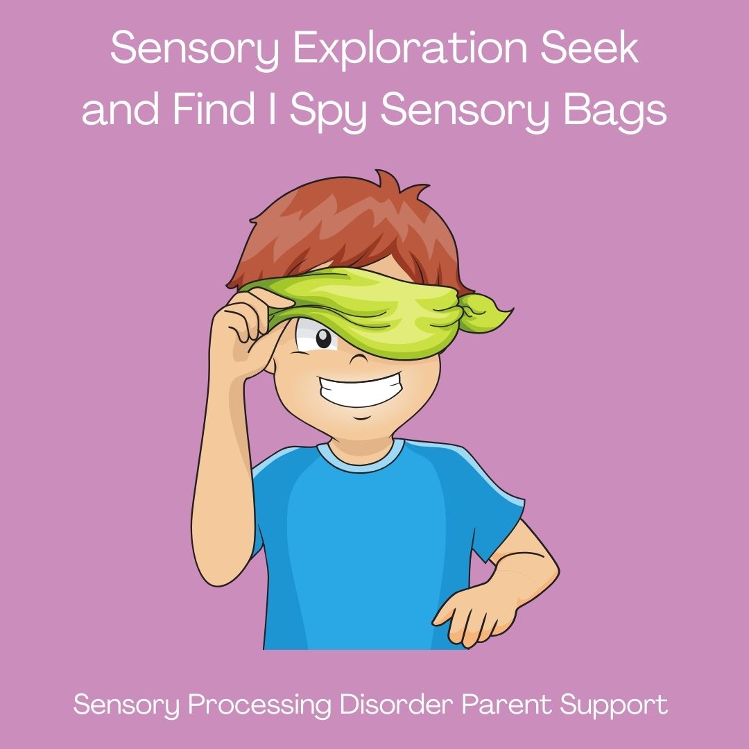 Sensory Exploration Seek and Find 