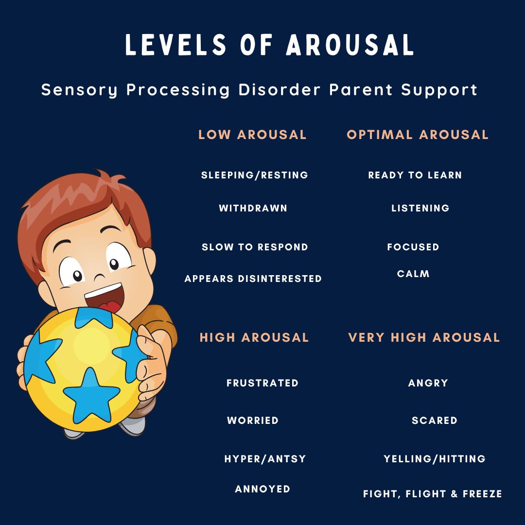 happy young boy with ball levels of arousal chart with children at different levels of sensory arousal