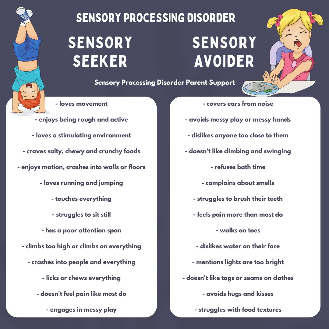 Sensory Processing Disorder  sensory seeker sensory avoider hyper sensitive hypo sensitive 