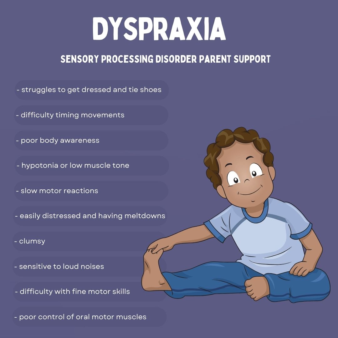 dyspraxia symptoms checklist sensory processing disorder 