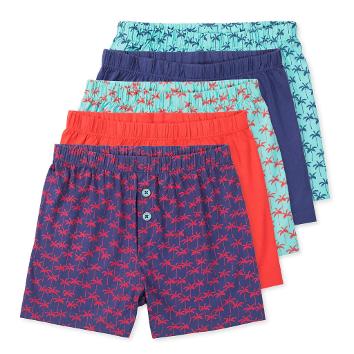 Lucky & Me Noah Boys Knit Boxers (5-Pack) Noah Boys Cotton Knit Boxer Shorts