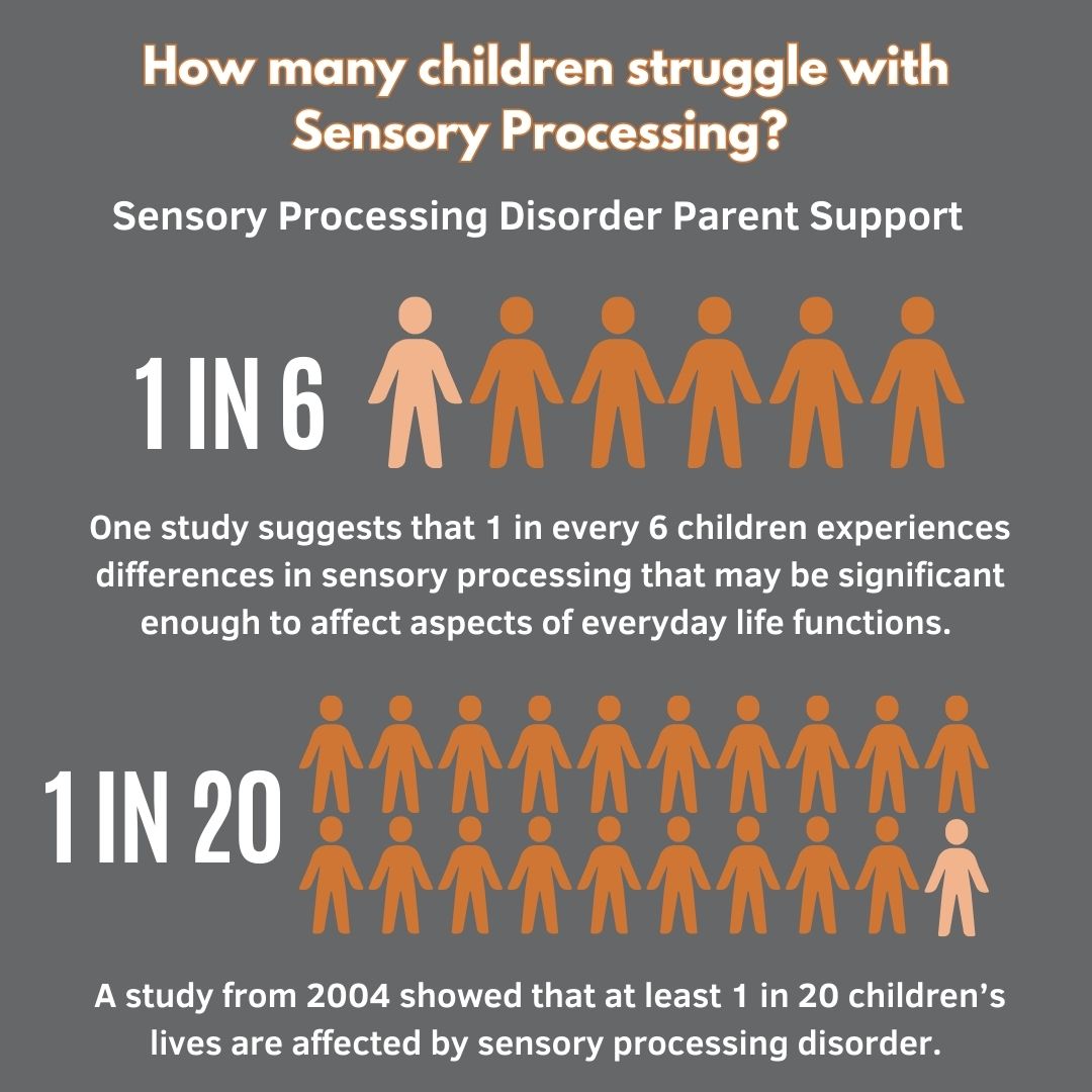 how many children struggle with sensory processing disorder statistics 1/6 and 1/20 diagrams sensory processing disorder