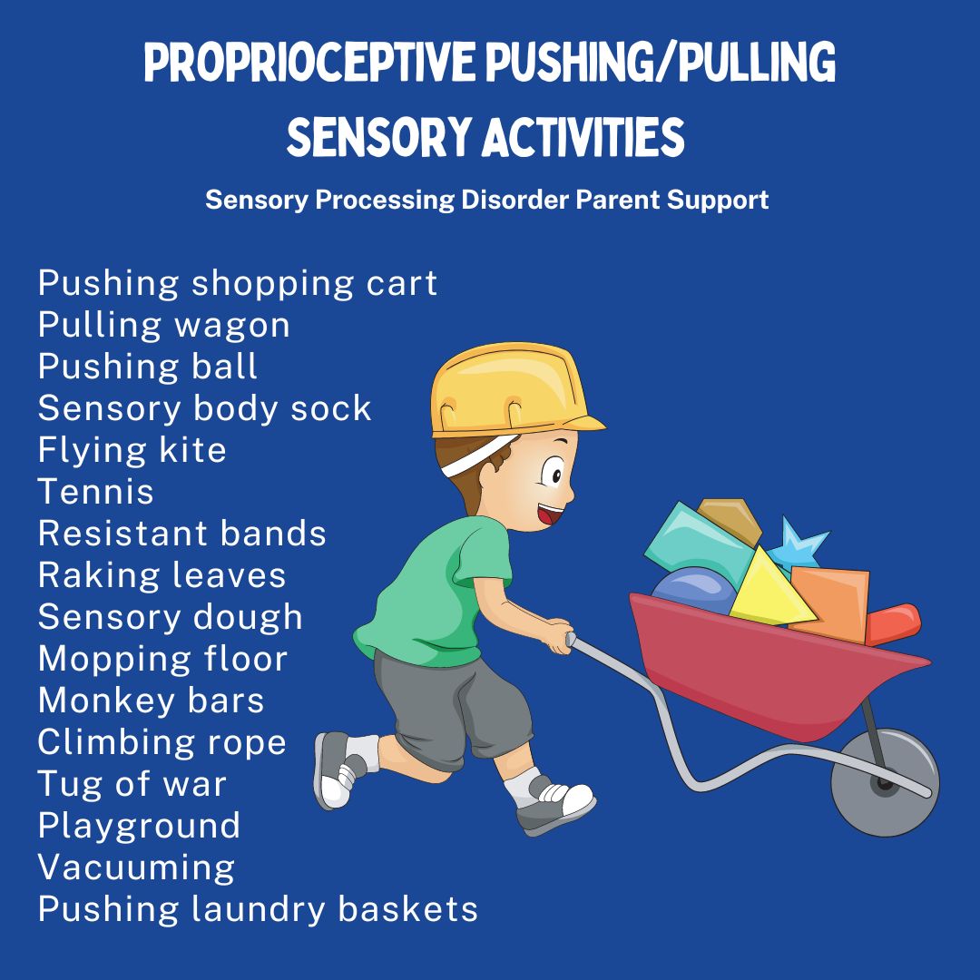 Proprioceptive Pushing/Pulling Sensory Activities  Pushing shopping cart  Pulling wagon Pushing ball Sensory body Sock Flying kite  Tennis Resistant bands Raking leaves Sensory dough Mopping floor Monkey bars Climbing rope  Tug of war Playground Vacuuming Pushing laundry baskets