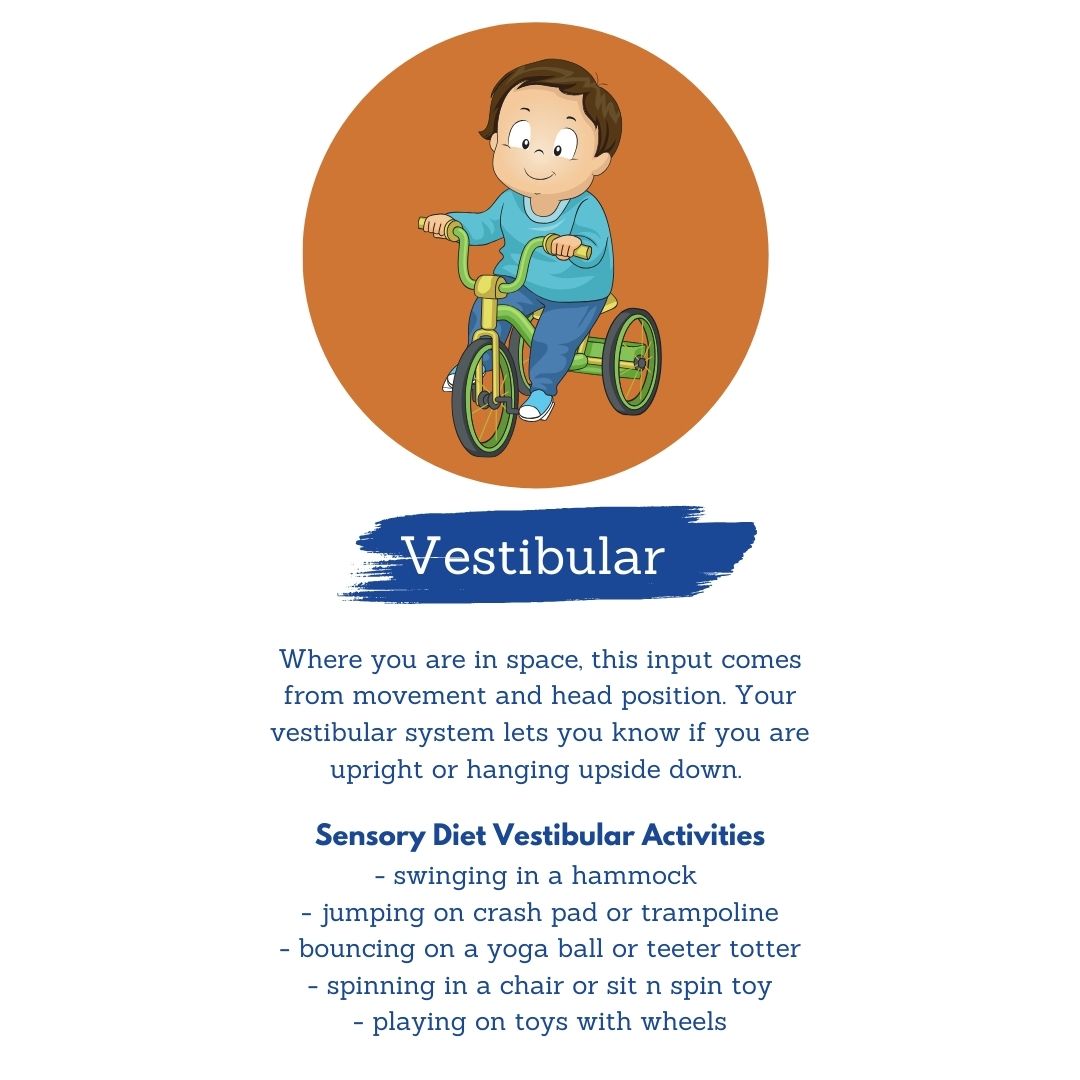 vestibular sense VestibularSensory Processing Disorder Five Senses Sensory Systems sensory processing