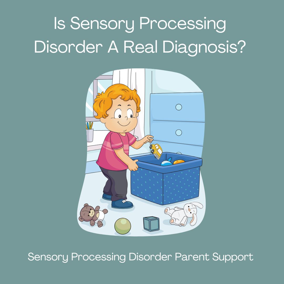 Sensory Processing Disorder Is Sensory Processing Disorder A Real Diagnosis