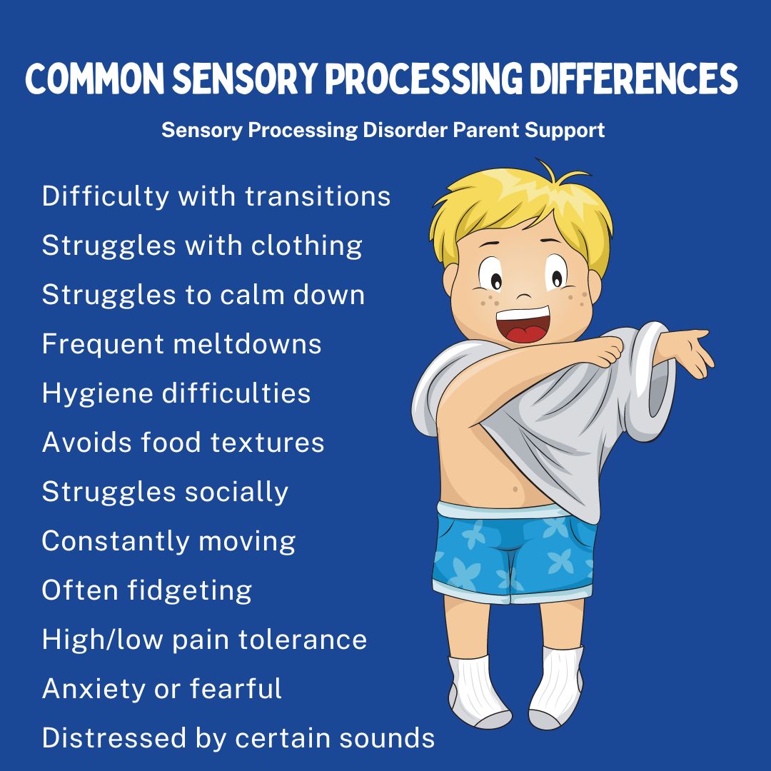 Common Sensory Processing Differences  Difficulty with transitions Struggles with clothing  Struggles to calm down Frequent meltdowns Hygiene difficulties  Avoids food textures Struggles socially Constantly moving Often fidgeting High/low pain tolerance Anxiety or fearful Distressed by certain sounds